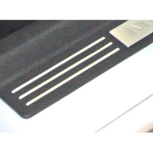 FORD MUSTANG 2005-2013 PLAQUE DE SEUIL AVEC LIGNES Mustang Sill Plate Accent Strips SCOTT DRAKE 5R3Z-13208-BARS