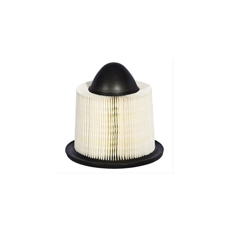 FORD F150 1997-2008 V6 256 V8 281 330 FILTRE A AIR MOTORCRAFT Air Filter Elements F5OZ9601BA