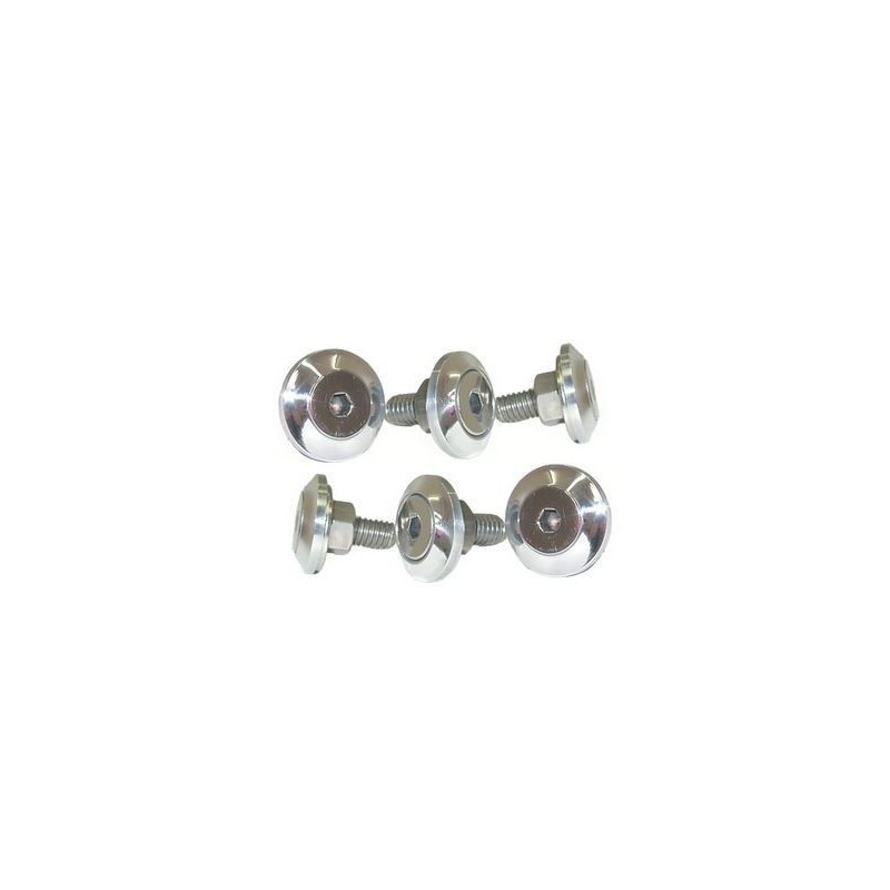 CHEVROLET GMC C10 1967-1972 SET DE VISSERIE D AILES Brothers Trucks Fender Bolts RFB72SM-72