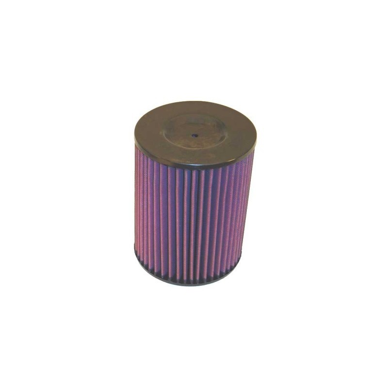 K&N FILTRE À AIR KN E2417 E-2417 TOYOTA LAND CRUISER 2.4 DIESEL 1984-1996 TOUS MODÈLES*