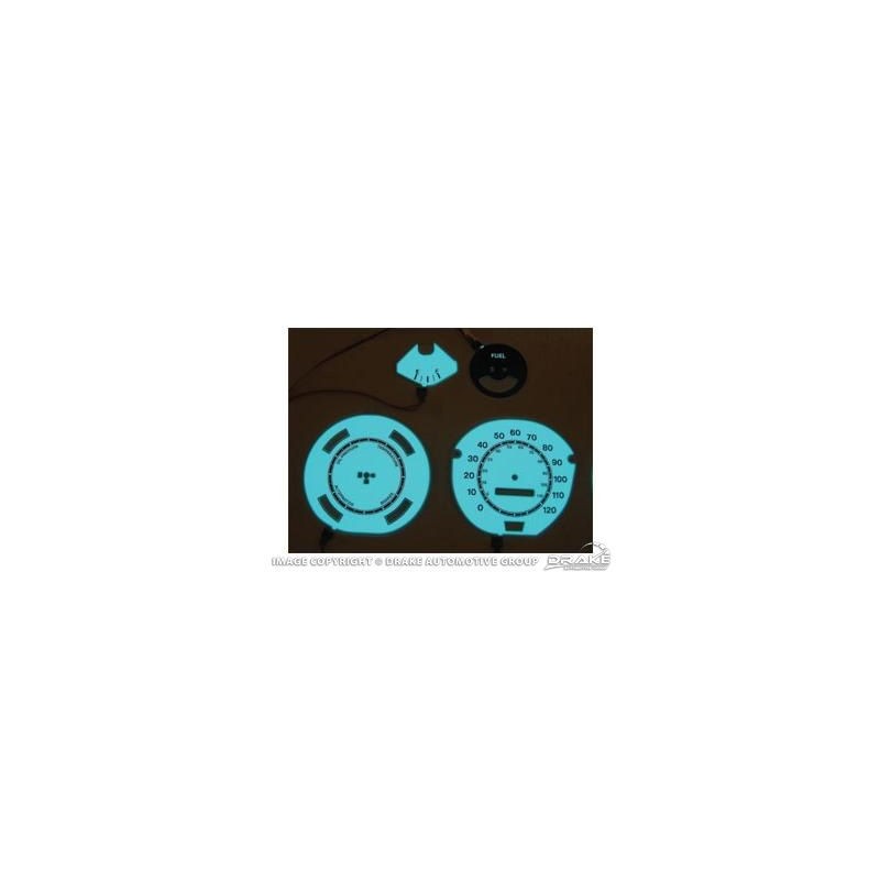 FORD MUSTANG 1971-1973 Standard Electro Luminescent Panels 5 piece SCOTT DRAKE D1ZZ-10890-GLO