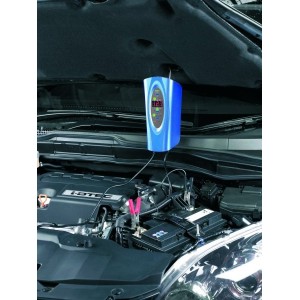 Chargeur de batterie intelligent 12 Volts 8 Amp RING