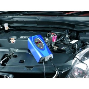 Chargeur de batterie intelligent 12 Volts 12 Amp RING