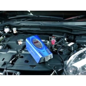 Chargeur de batterie intelligent 12 Volts 16 Amp RING