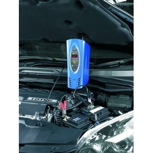 Chargeur de batterie intelligent 12 Volts 16 Amp RING