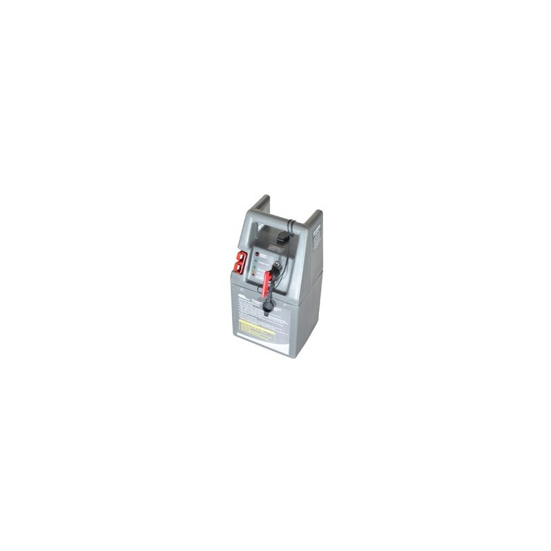 Chargeur booster démarreur de batterie RING 12V