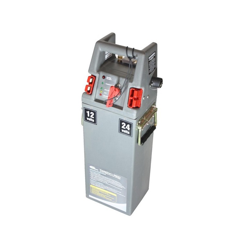 Chargeur booster démarreur de batterie RING 12V/24V