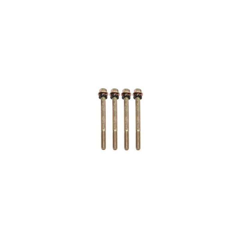 Fuel Bowl Screws (Med)-Gold Quick Fuel 5-4QFT