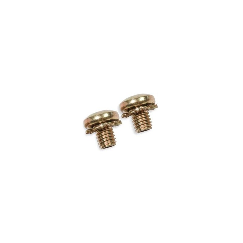 VIS DE PAPILLON STANDARD Throttle Plate Screws Std. Quick Fuel 5-6QFT