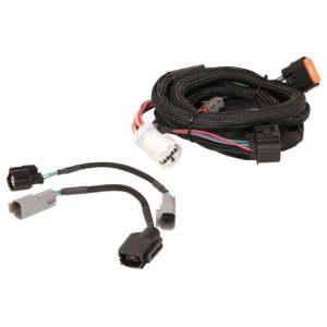 FAISCEAU Harness