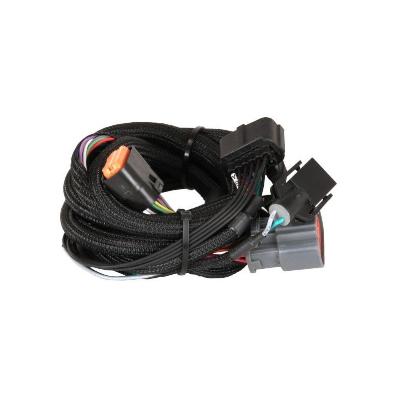 FAISCEAU Harness