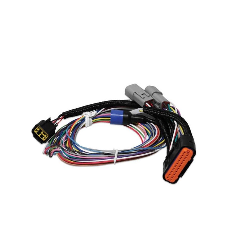 REMPLACEMENT FAISCEAU Harness Replacement
