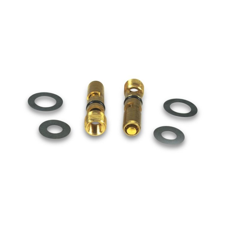 .110 VITON NEEDLE & SEAT - PR. Demon 120006