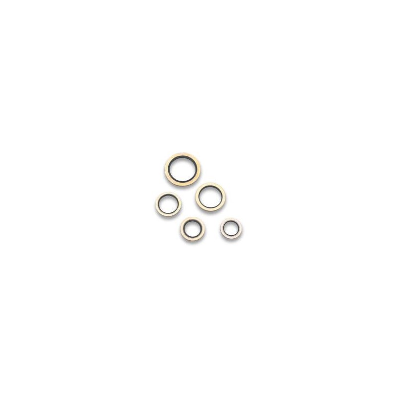 1-1/16 DOWTY SEAL - PKG. OF 2 Earls 178117ERL