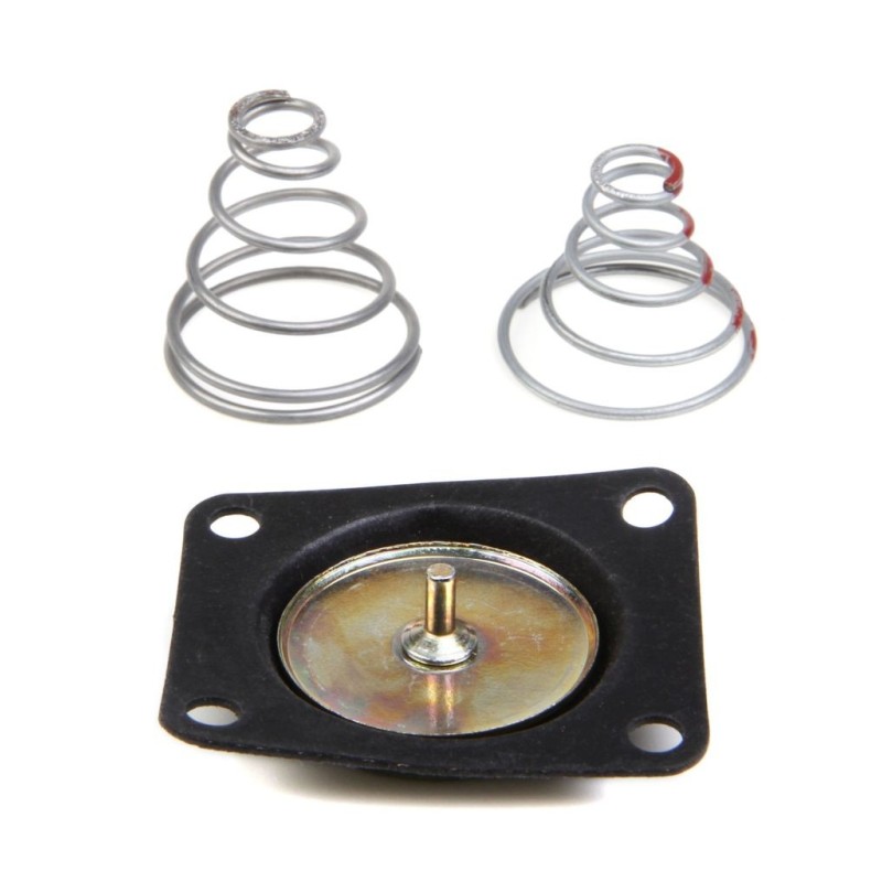 REG DIAPH REPAIR KIT Holley 12-807