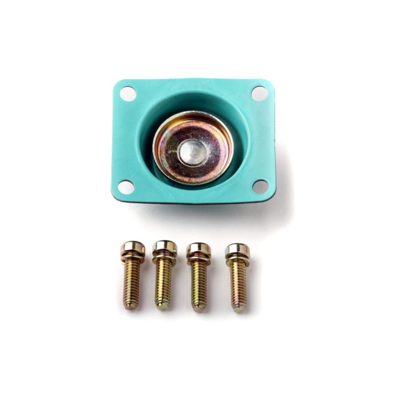 MEMBRANE POMPE REPRISE AMORCE CARBURATEUR 50 CC pump diaphragm Holley 135-15