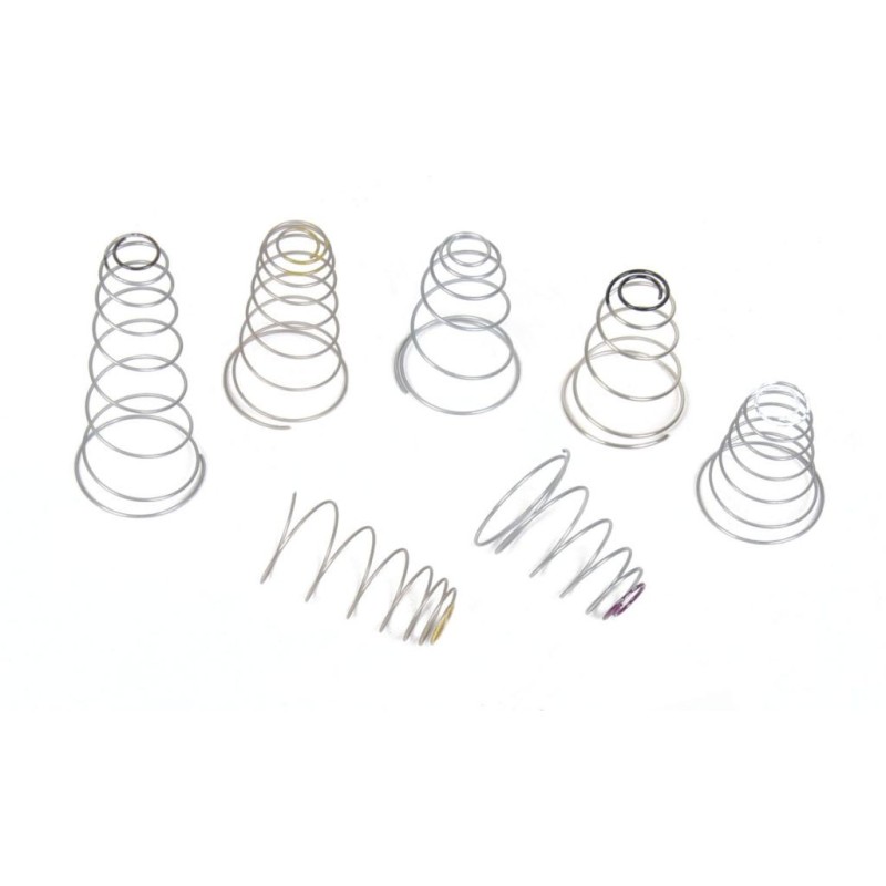 SEC.DIAPHRAGM SPRING KIT Holley 20-13