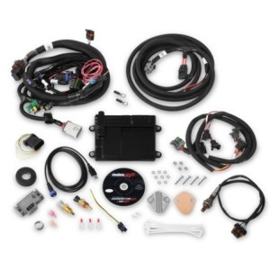 FAISCEAU HP ECU AND HARNESS