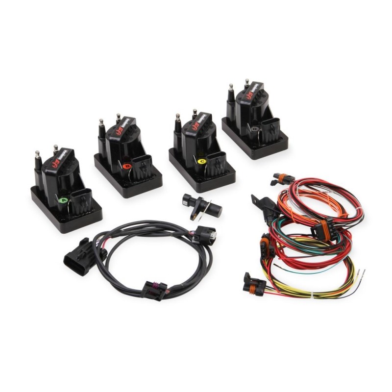 LTS 8 CYL DIS SYSTEM Holley EFI 556-101