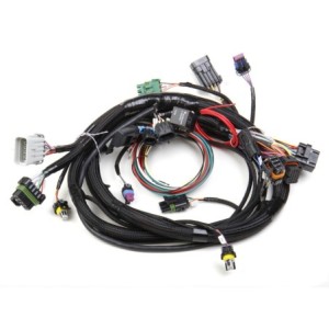 FAISCEAU LTS - 4 BBL TBI MAIN HARNESS Holley EFI 558-100