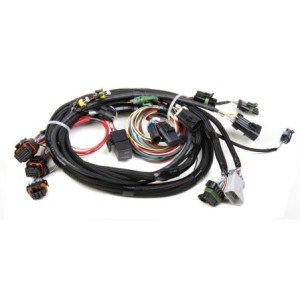 FAISCEAU TPI/STEALTHRAM MAIN HARNESS Holley EFI 558-101