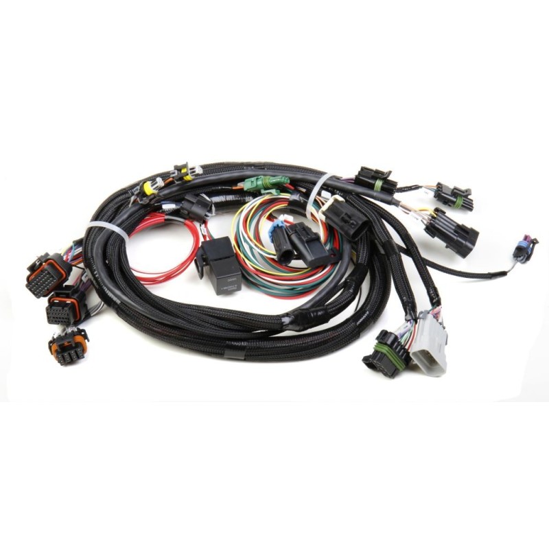 FAISCEAU TPI/STEALTHRAM MAIN HARNESS Holley EFI 558-101
