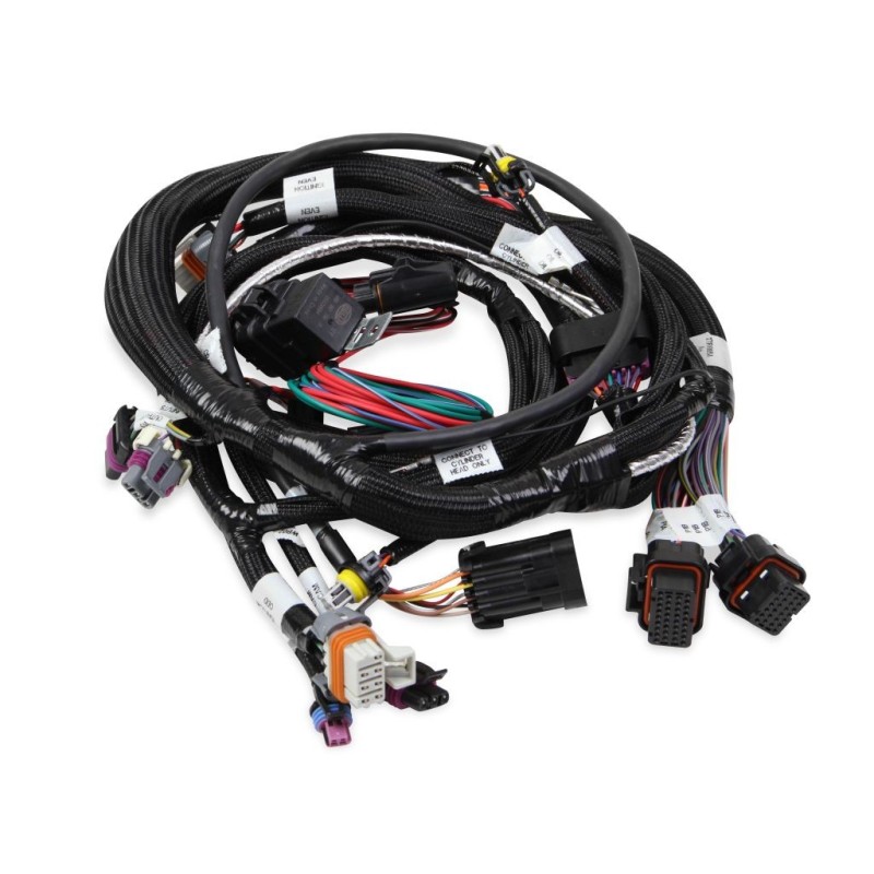 FAISCEAU MAIN HARNESS