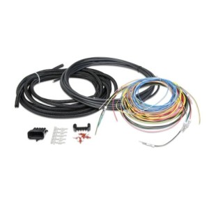 FAISCEAU UNIV UNTERMINATED IGN HARNESS Holley EFI 558-306