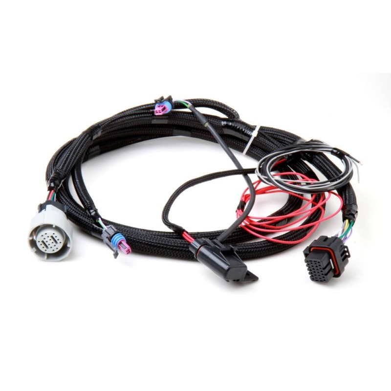 FAISCEAU 4L60/80 TRANS HARNESS Holley EFI 558-405