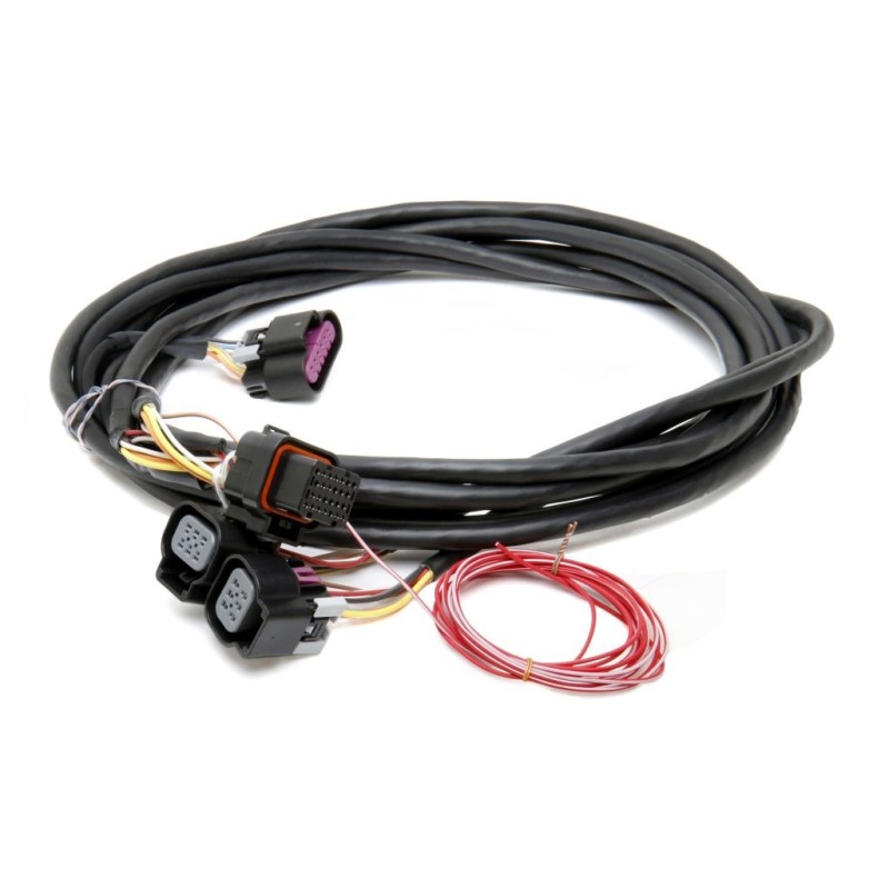 FAISCEAU GM DUAL DRIVE BY WIRE HARNESS Holley EFI 558-411
