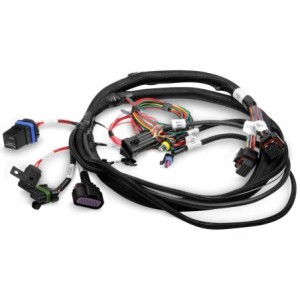 FAISCEAU HARNESS