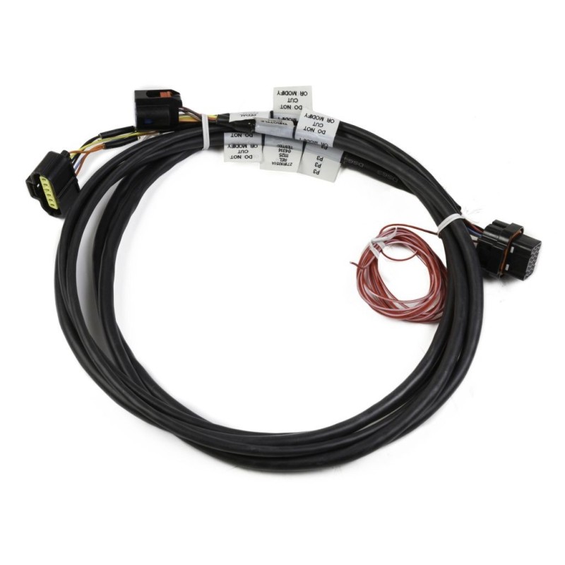 FAISCEAU HEMI DBW HARNESS