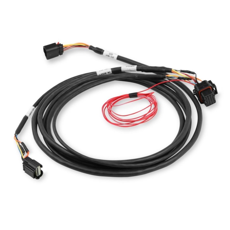 FAISCEAU DBW HARNESS