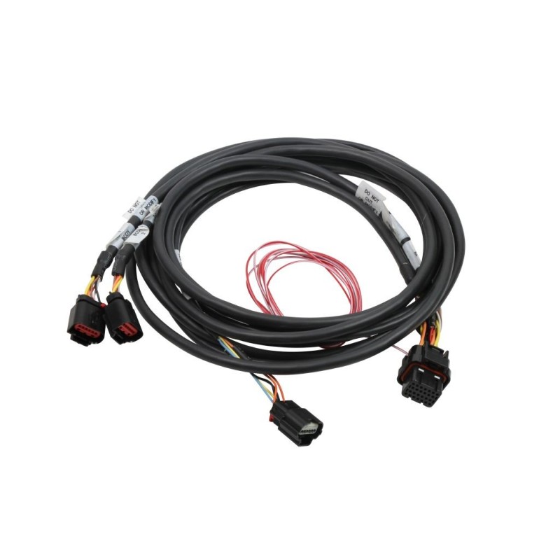 FAISCEAU HEMI DUAL DBW HARNESS