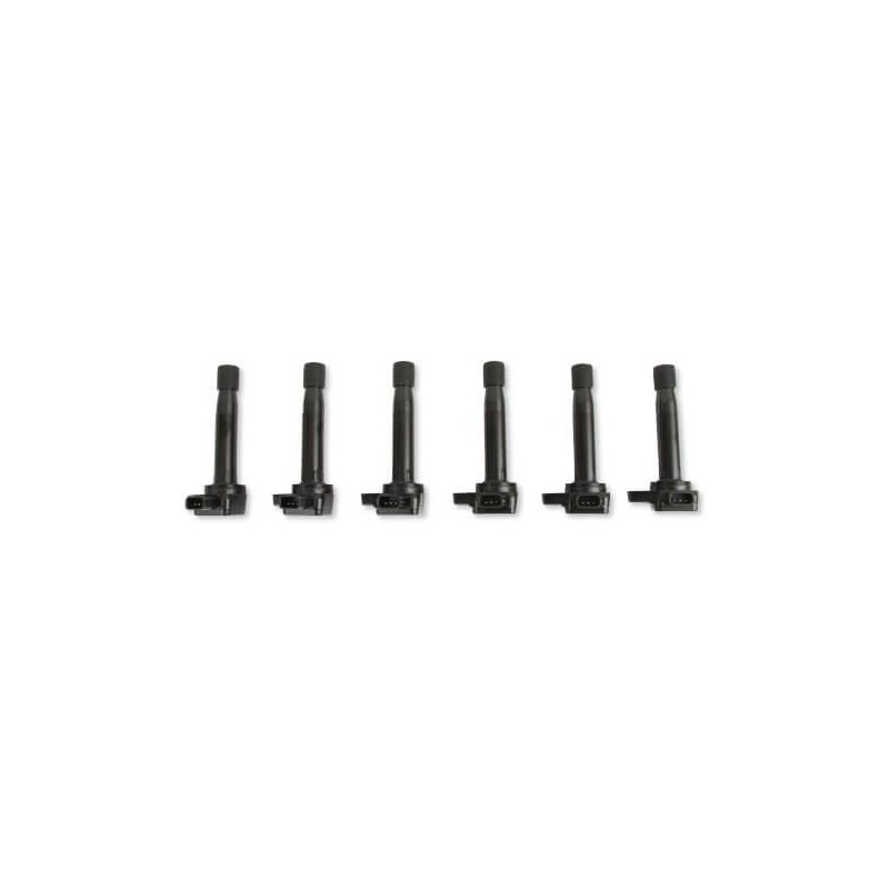 1999-2010 Coils