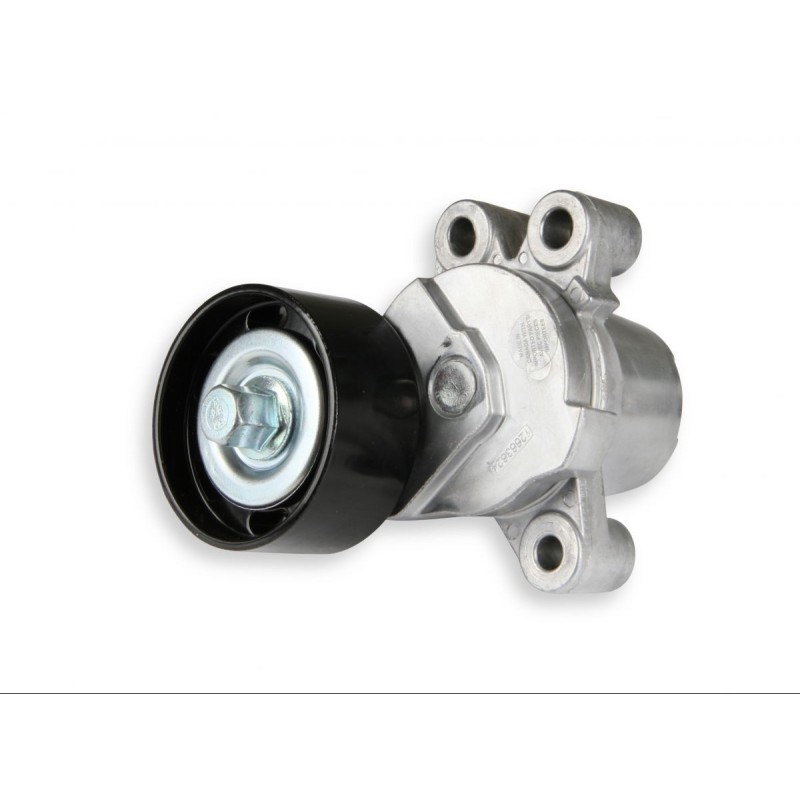 Tensioner Assm