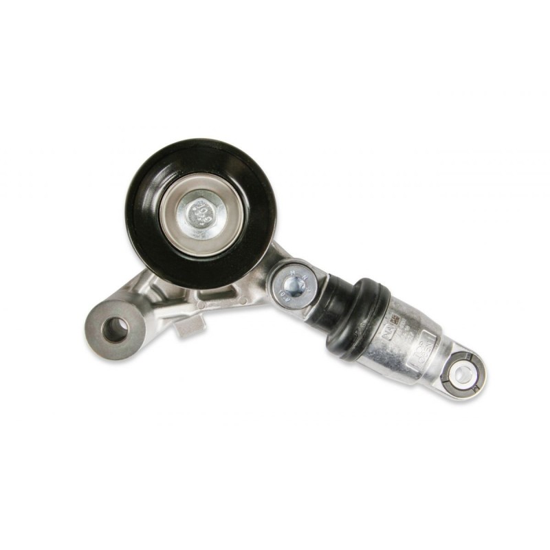 Tensioner Assm