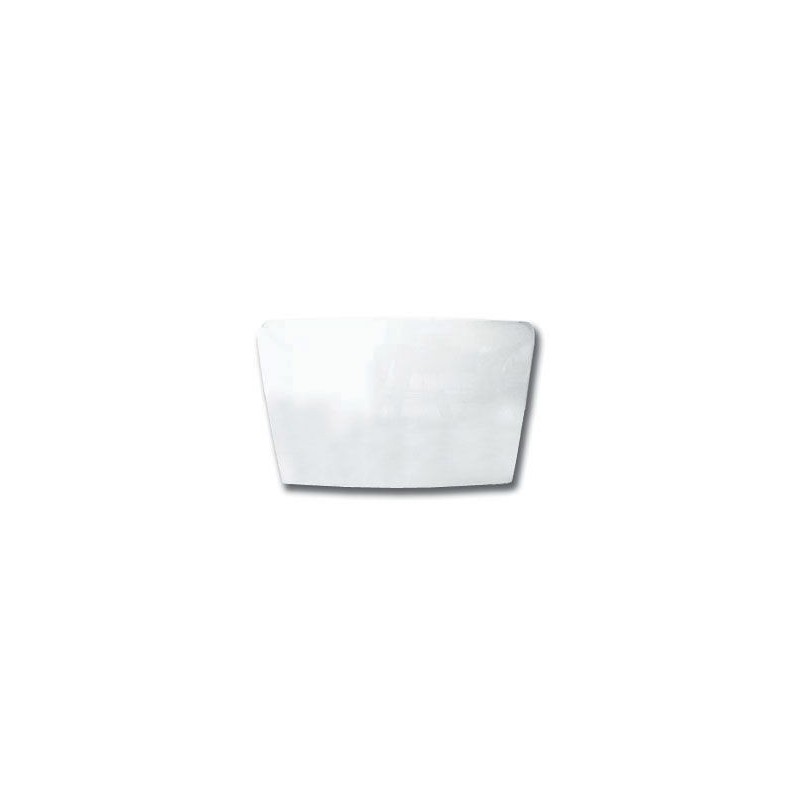 FORD MUSTANG 1969-1970 SPORTSROOF FASTBACK LUNETTE VITRE ARRIERE CLAIR Back Glass Clear SCOTT DRAKE C9ZZ-6342006-C