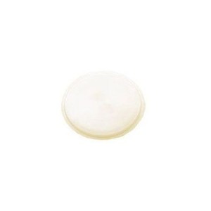 FORD MUSTANG 1965-1969 FASTBACK LENTILLE DE LUMIERE INTERIEURE DE PANNEAU INTERIEUR ARRIERE Quarter Panel Dome Lamp light Lens D