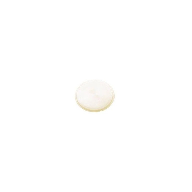 FORD MUSTANG 1965-1969 FASTBACK LENTILLE DE LUMIERE INTERIEURE DE PANNEAU INTERIEUR ARRIERE Quarter Panel Dome Lamp light Lens D