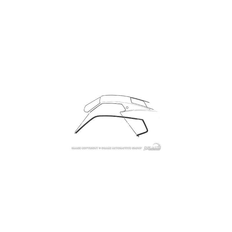 FORD MUSTANG 1969-1970 SPORTSROOF FASTBACK PAIRE DE JOINTS RAIL D ETANCHEITE DE PORTE SUR TOIT Roof Rail Seal pair DANIEL CARPEN