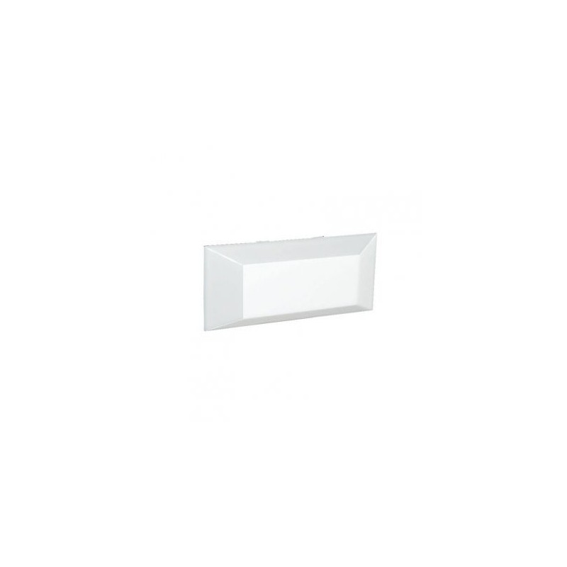 FORD MUSTANG 1971-1973 LENTILLE DE PLAFONNIER dome light lens DANIEL CARPENTER D1AZ-13783