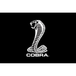 FORD MUSTANG 1964-2019 PROTEGE AILE POUR MECANIQUE fenders gripper cover SCOTT DRAKE Mustang Cobra 34 x 22 FG2122