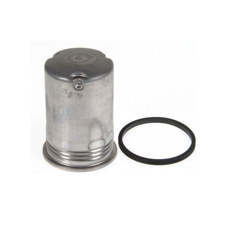 FORD MUSTANG 1964-1965 MOTEUR 170 200 250 260 289 CARTOUCHE DE POMPE A ESSENCE Fuel Pump Filter Canister