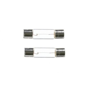 FORD MUSTANG 1969 DELUXE LOT DE 2 AMPOULES DE LUMIERE DEPANNEAUX DE PORTE LONGUE DUREE Door Courtesy Light Bulb long life PHILIP