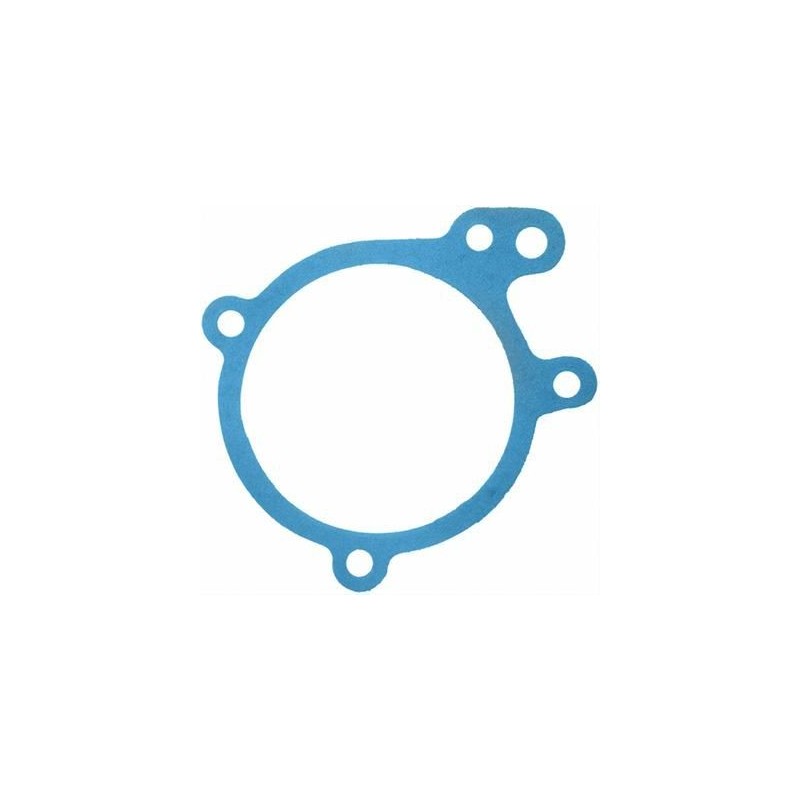 FORD MUSTANG 1969-1973 6 CYLINDRES 250 JOINT POMPE A EAU seal Water pump Cast Iron FELPRO 35054