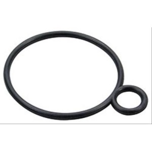 FORD MUSTANG 1964-1973 V8 260 289 302 351 W JOINT TORIQUE DE REMPLACEMENT PIPE BOITIER DE THERMOSTAT Thermostat housing gasket