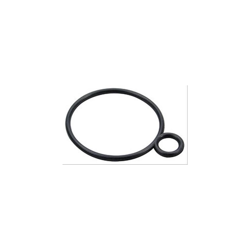FORD MUSTANG 1964-1973 V8 260 289 302 351 W JOINT TORIQUE DE REMPLACEMENT PIPE BOITIER DE THERMOSTAT Thermostat housing gasket