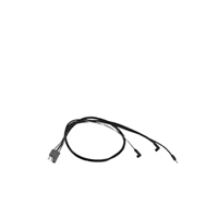 Faisceau Sondes Moteur